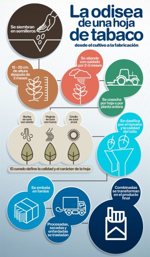 infogr1